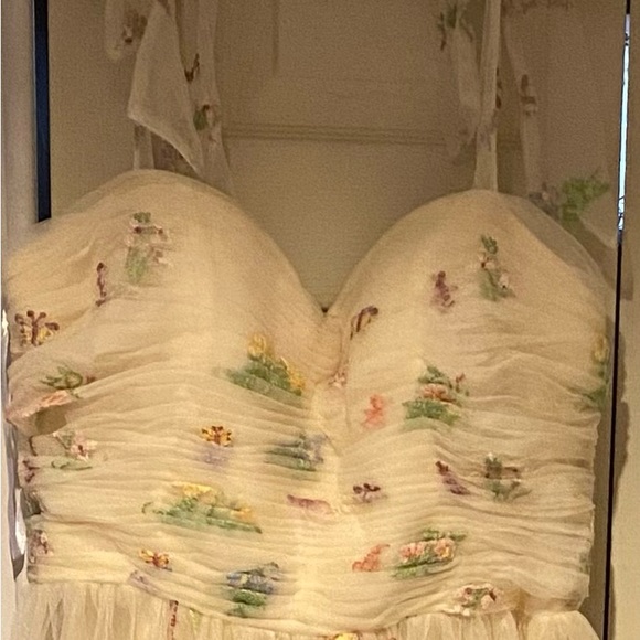 Formal gown. Tulle. Never worn. Size 16 champagne color - Picture 3 of 3